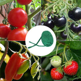 30m Garden Rope Fabric Cord Plant Support Ties