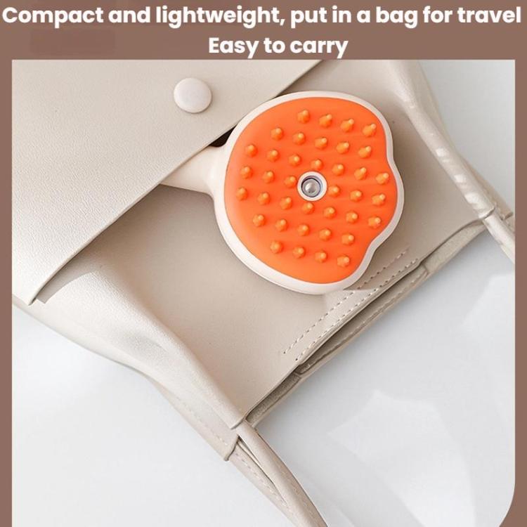 Pet Cleaning Spray Massage Comb