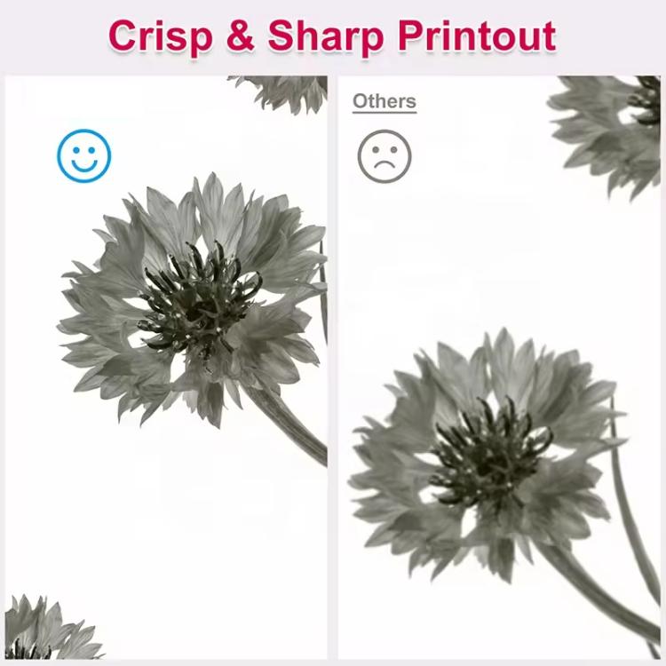 For EPSON Printer Motherboards PCB USB Interface Boards, Without WIFI, With WIFI