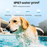 Remote Control Dog Barking Control Device Rechargeable Waterproof Electric Shock Collar, One To One, One To Two