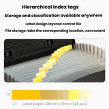 Deli 5232 A4 Accordion Bag Office Handbag 13 Compartment Folder Document Storage Bag