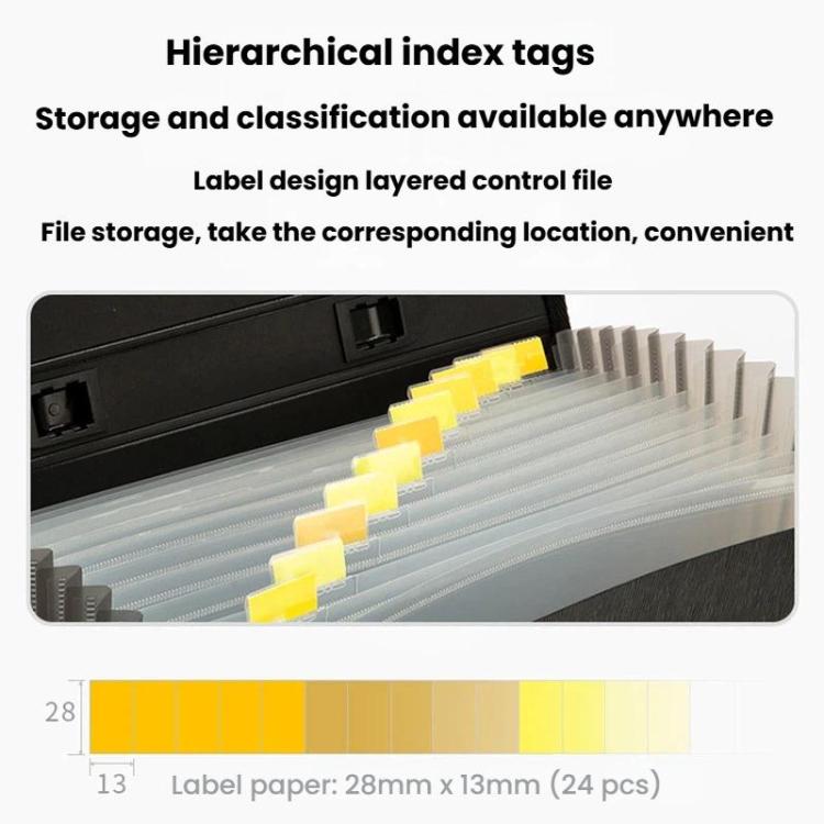 Deli 5232 A4 Accordion Bag Office Handbag 13 Compartment Folder Document Storage Bag