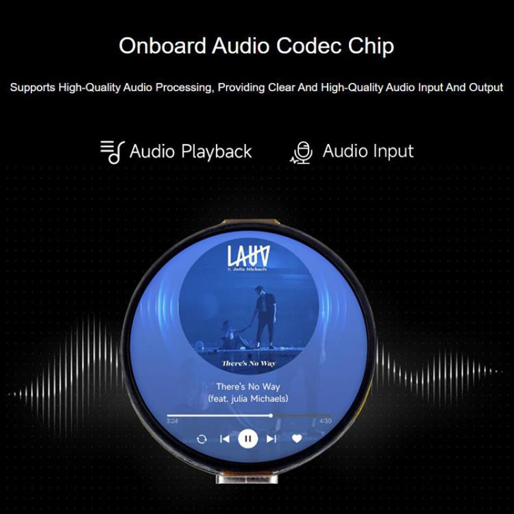 1.32 Inch AMOLED Round Touch Display Development Board, 32766