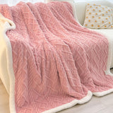Thick Winter Taffeta Fleece Blanket Coral Fleece Sofa Blanket, 100x150cm, 120x200cm, 150x200cm, 180x200cm, 200x230cm