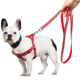 Small Medium Dogs Nylon Reflective Dog Leash Lead Set, S