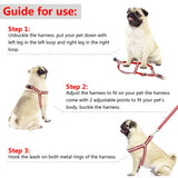 Small Medium Dogs Nylon Reflective Dog Leash Lead Set, S