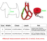 Small Medium Dogs Nylon Reflective Dog Leash Lead Set, S