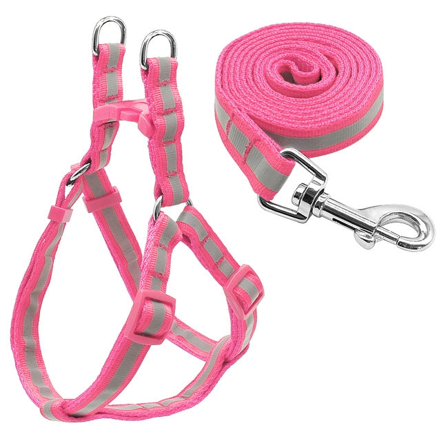 Small Medium Dogs Nylon Reflective Dog Leash Lead Set, S