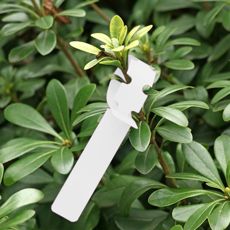 100 PCS Gardening Plant Sapling Seed Hanging Tree Label, Plant Label 5 Pink, Plant Label 5 Yellow, Plant Label 5 Green, Plant Label 5 Blue, Plant Label 5 Red, Plant Label 5 White Plant Label 5 White White