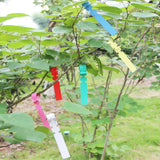 100 PCS Gardening Plant Sapling Seed Hanging Tree Label, Plant Label 5 White, Plant Label 5 Pink, Plant Label 5 Yellow, Plant Label 5 Green, Plant Label 5 Blue, Plant Label 5 Red