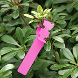 100 PCS Gardening Plant Sapling Seed Hanging Tree Label, Plant Label 5 Pink, Plant Label 5 Yellow, Plant Label 5 Green, Plant Label 5 Blue, Plant Label 5 Red, Plant Label 5 White Plant Label 5 Pink Pink