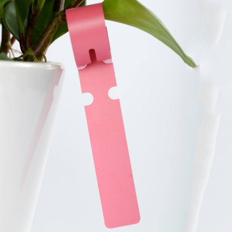 100 PCS Gardening Plant Sapling Seed Hanging Tree Label, Plant Label 5 Pink, Plant Label 5 Yellow, Plant Label 5 Green, Plant Label 5 Blue, Plant Label 5 Red, Plant Label 5 White