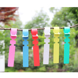 100 PCS Gardening Plant Sapling Seed Hanging Tree Label, Plant Label 5 Pink, Plant Label 5 Yellow, Plant Label 5 Green, Plant Label 5 Blue, Plant Label 5 Red, Plant Label 5 White