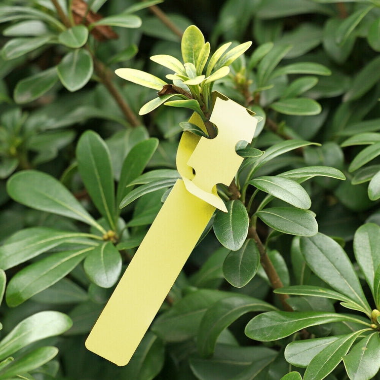 100 PCS Gardening Plant Sapling Seed Hanging Tree Label, Plant Label 5 Pink, Plant Label 5 Yellow, Plant Label 5 Green, Plant Label 5 Blue, Plant Label 5 Red, Plant Label 5 White Plant Label 5 Yellow Yellow