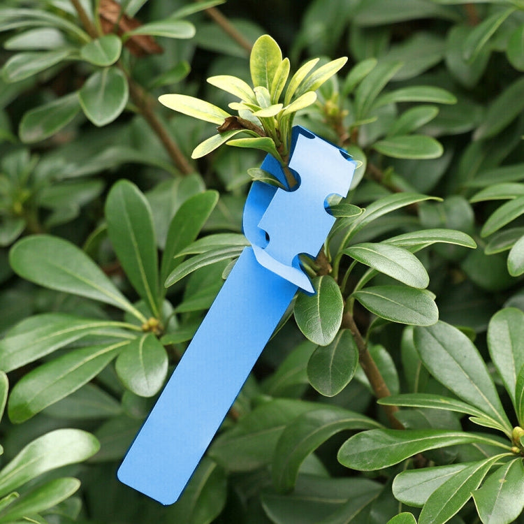 100 PCS Gardening Plant Sapling Seed Hanging Tree Label, Plant Label 5 Pink, Plant Label 5 Yellow, Plant Label 5 Green, Plant Label 5 Blue, Plant Label 5 Red, Plant Label 5 White Plant Label 5 Blue Blue