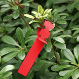100 PCS Gardening Plant Sapling Seed Hanging Tree Label, Plant Label 5 Pink, Plant Label 5 Yellow, Plant Label 5 Green, Plant Label 5 Blue, Plant Label 5 Red, Plant Label 5 White Plant Label 5 Red Red