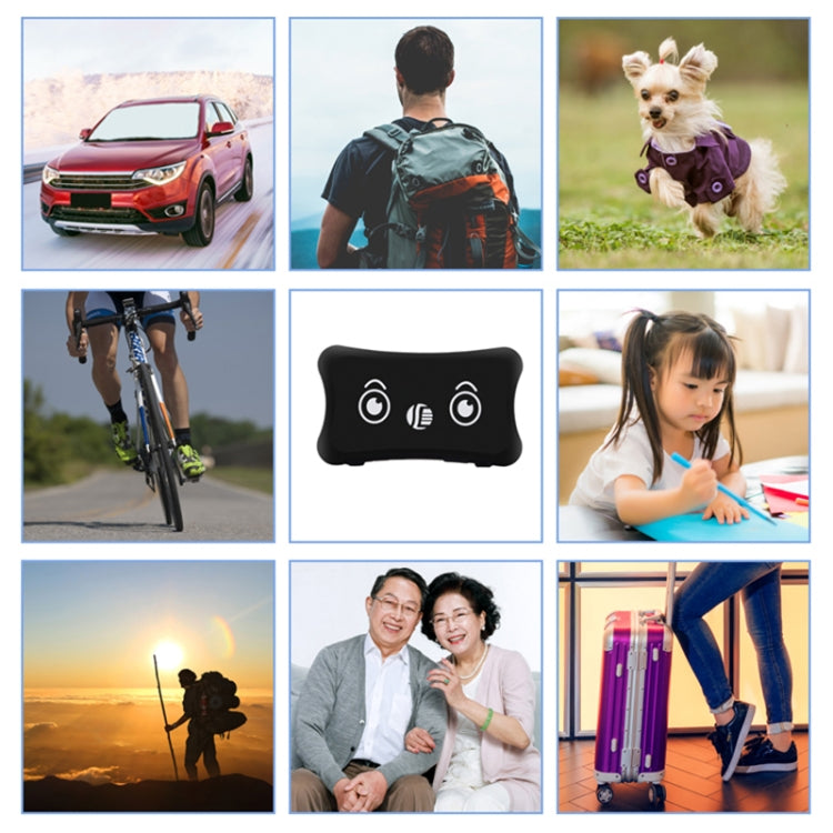 TK200 2G IP67 Waterproof GPS / GPRS / GSM Personal / Goods / Pet / Bag Locator Pet Collar Real-time Tracking Device, TK200