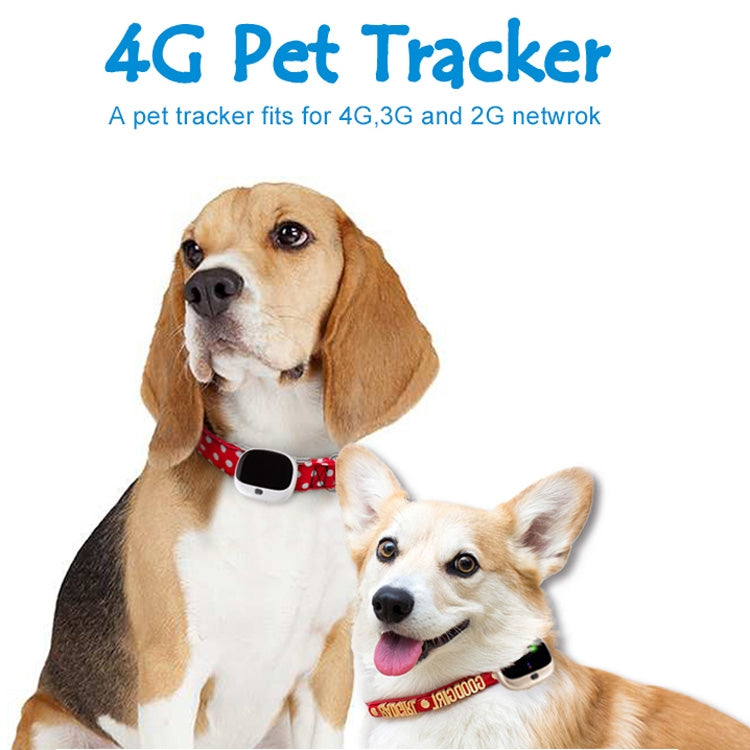 RF-V43 A Style IP67 Waterproof GPS + LBS + WiFi Pet Locator Pet Collar Tracking Device For Asia/Europe/Africa/Australia, RF-V43 A Style (Black), RF-V43 A Style (White)