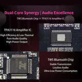 Sinilink XY-1001W TWS bluetooth 5.3 Amplifier Board Mono 100W TPA3116D2 AUX USB Stereo Pairing Audio Module