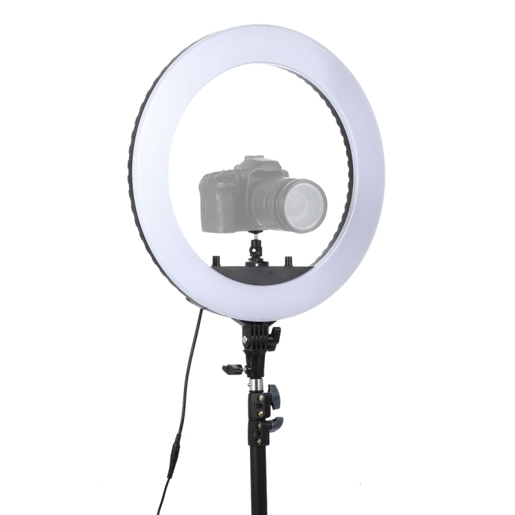 18 inch 55W Two-speed Dimmable Anchor Photography Self-timer LED Ring Fill-in Light with Tripod, 18 Inch 18 Inch