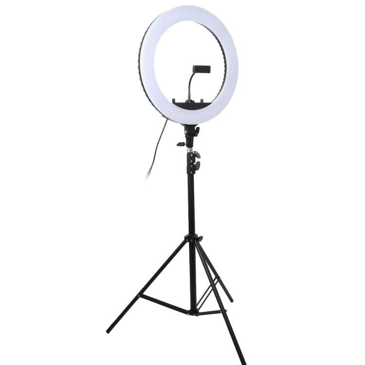 18 inch 55W Two-speed Dimmable Anchor Photography Self-timer LED Ring Fill-in Light with Tripod, 18 Inch