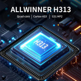 Q7 4K UHD Android 10 Smart TV Box with Remote Control, Allwinner H313 Quad-Core, 2GB+8GB, 2GB+16GB