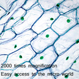 2000X WIFI High Magnification Biological Microscope USB HD Digital Magnifying Glass