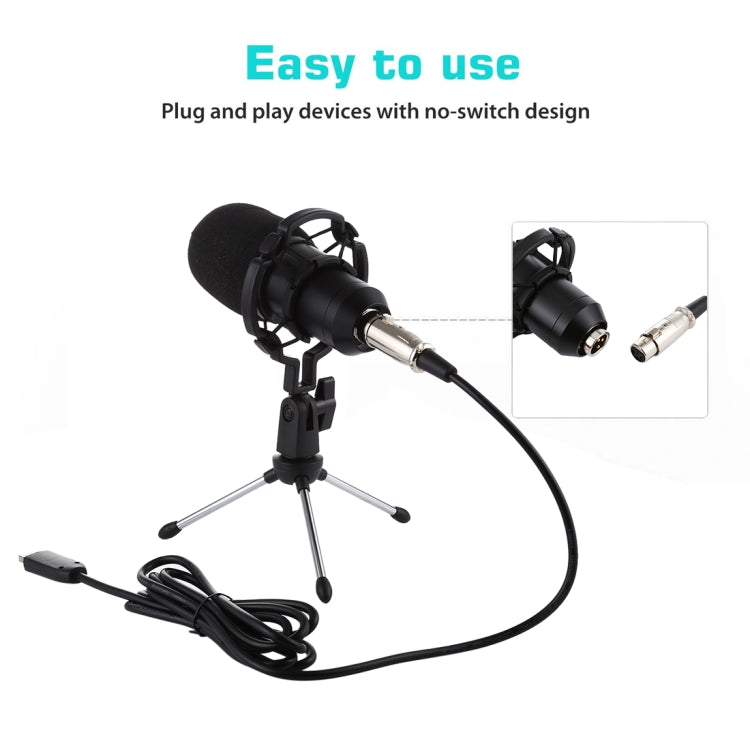 BM-700 USB Professional Condenser Microphone